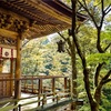 「羨ましい」で欲しいものがわかる✨