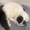 ナユちゃん冬支度