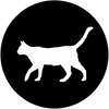 キャットウォークレーベルに商品開発部門を新設しました🐈　- Merchandising of Catwalk Records Japan -