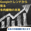 【未来を予想してみませんか？】Googleトレンド から見る多肉植物サボテン市場