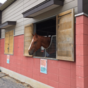 藤河達哉の競馬必勝法