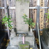 第1123話　渋沢栄一を見い出した平岡円四郎