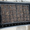 24’ベランダ菜園
