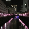 目黒川みんなのイルミネーション2017が始まったよ