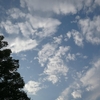 やっと　晴れました～