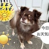 フリージアとペンギンベーカリー