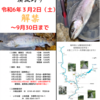 犬上川　渓流釣り　解禁間近！