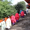 【鎌倉いいね】今年も八幡様例大祭の流鏑馬中止。