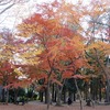 井の頭公園（東京都武蔵野市・三鷹市）