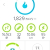 雑煮はサトイモがうまい！ / 運動不足にならんように