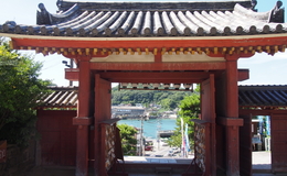 記事を見る
