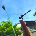 なおやんの日記！