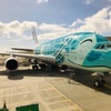 【搭乗記】ANA フライングホヌに乗っていくハワイ② NH183 (HNL-NRT) エコノミークラス（座席、機内食）