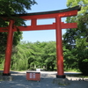 20220511京都府京都市北区　平野神社