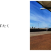 羽ばたく