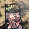 5月4日  練習・BBQ🍖