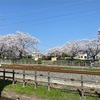 西開発公園あたり