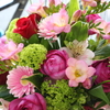 DAILY FLOWERS !!