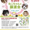 胡ぼ爺の風邪の話