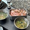梅ちりめん御飯をメスティンで作ろう！＃114