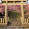 三田・福知山沿線の桜