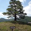 旧中山道ウオーキング　塩尻〜奈良井