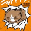 海外の猫虐待動画から考える文化と価値観の相違の話