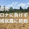 残りあと６日！99％売上減少の外国人観光客向け茶道体験教室の美人経営者が農業で再起をかけます！