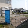 　涼しげなビニールハウス