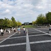 ただの育児日記、国営昭和記念公園編