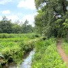 【東京都】田んぼから住宅街をたどり緑あふれる湿原へ　都心から1時間で行ける癒しの風景　湧水をあつめた清流　矢川を歩く（2023年）