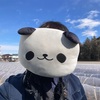 楽しかったサバゲヱ　2025年2月22日　バトルフリー「猫の日」