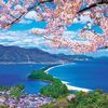 桜咲く天橋立ジグソーパズルで癒やしの時間を！1000ピースに挑戦してみた