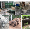  -Ho Chi Minh 2日目- サイゴン動植物園  amai