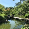 【ライフ】清澄庭園で日本の夏を感じる