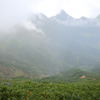 【登山】八ヶ岳（4）2015.8.23_下山：赤岩の頭→赤岳鉱泉→ゴール