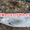 ★神回★【５キロの海サクラマス釣っちゃった】