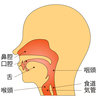 「のどが痛いときは“鶏のから揚げ”が効く」説