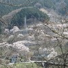 浦山川（埼玉県秩父市）