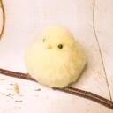 ことりのひとりごと