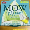 午前中のおやつ！数量限定！森永乳業『MOW(モウ）塩バニラ＆メロン』を食べてみた！