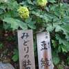 長谷詣H26（最終回）