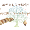 【めざまし８で紹介】佳子さまがご着用！寄木細工のバレッタとイヤリング（白谷工房）