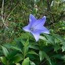 Nature Around Takarazuka