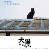  まさに猛禽！ 『犬猫』