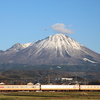 大山の麓で381系「やくも」を撮る その5　2024年 伯備遠征⑩