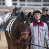 愛馬観戦記　ハーモニクス　～必勝態勢で臨むも伸びきれず、ハーモニクス敗れる！～