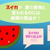 毎月８日は「果物の日」！　夏の果物と言えば・・・？！