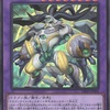 連続融合とチェーンの暴力で押し切る！！【ドラゴンテイル】の強みとは