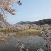 春の宝篋山